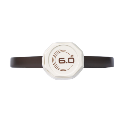 Six Zero Quartz Pickleball Paddle handle with 6.0 logo, featuring quality design for enhanced performance and affordability.